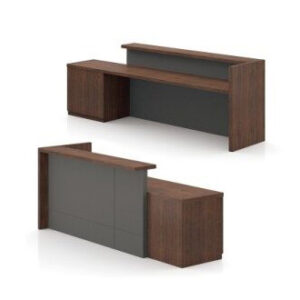 MODULO DE RECEPCIÓN MOB-MRL-0012